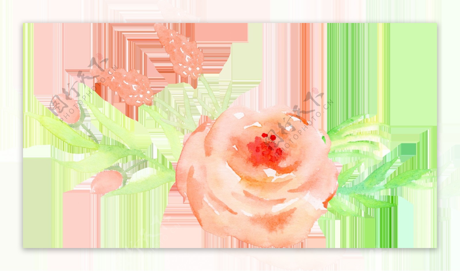 彩绘清新粉色玫瑰花朵绿色叶子png元素