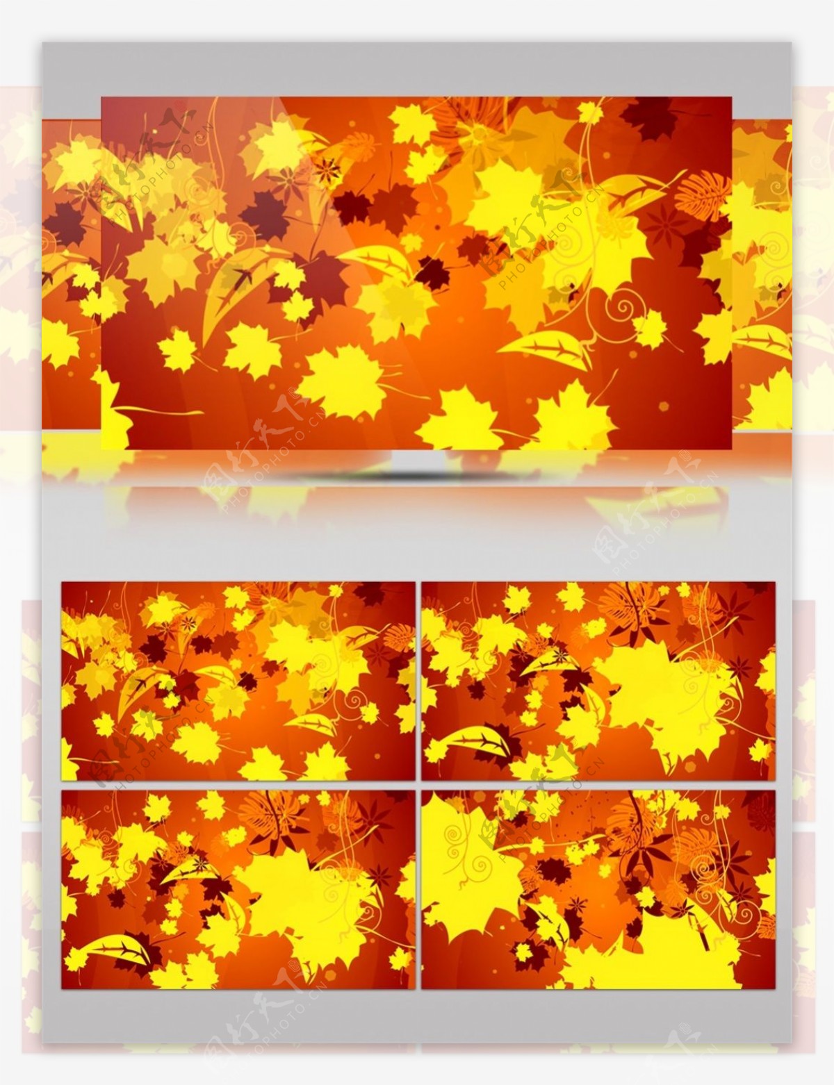 黄色枫叶高清视频素材
