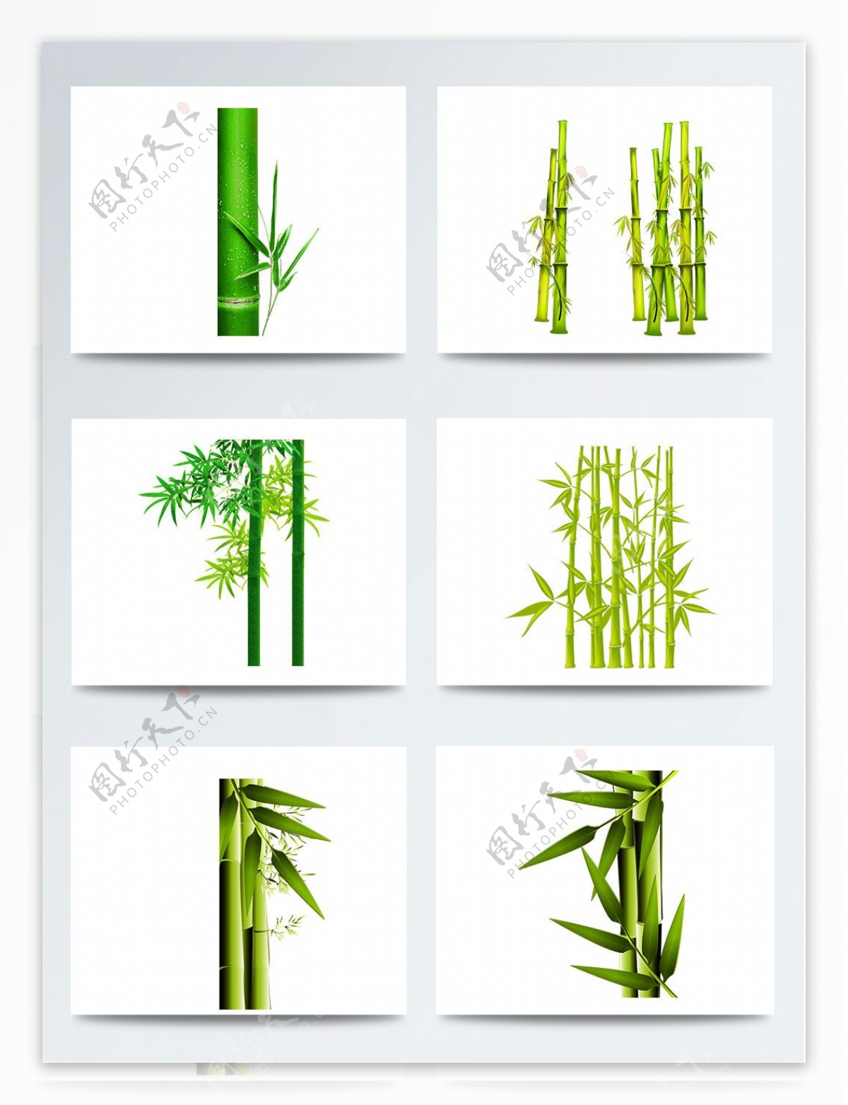 一组中国风绿色竹子素材
