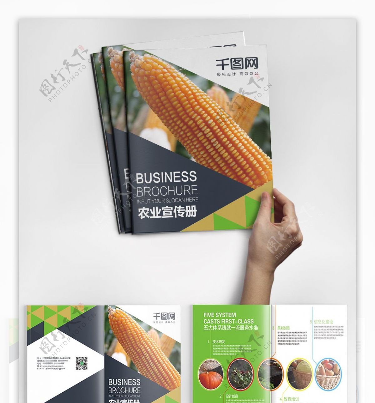时尚版式农业产品画册PSD模板