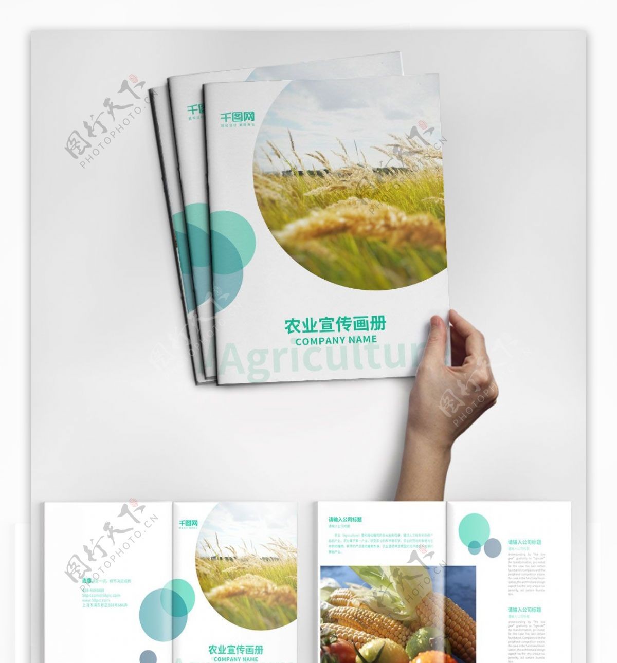 简约农业宣传画册设计PSD模板