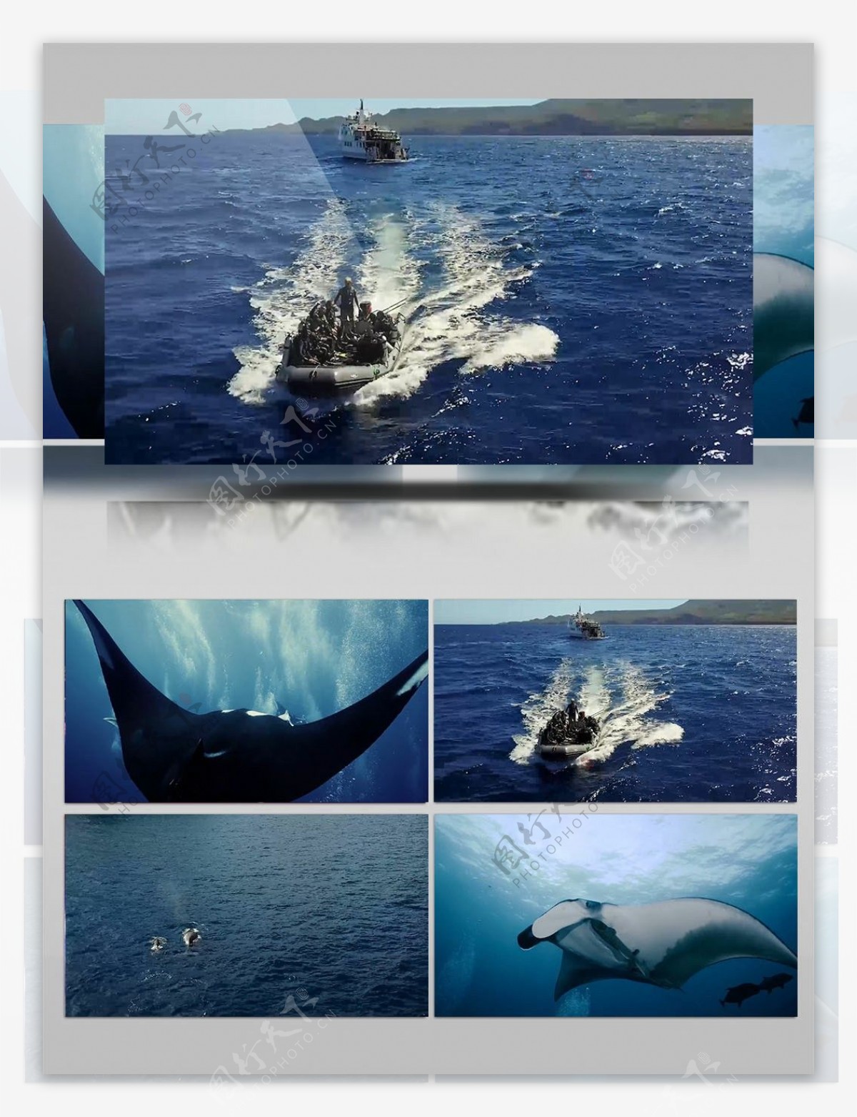 海底动物世界实拍视频素材