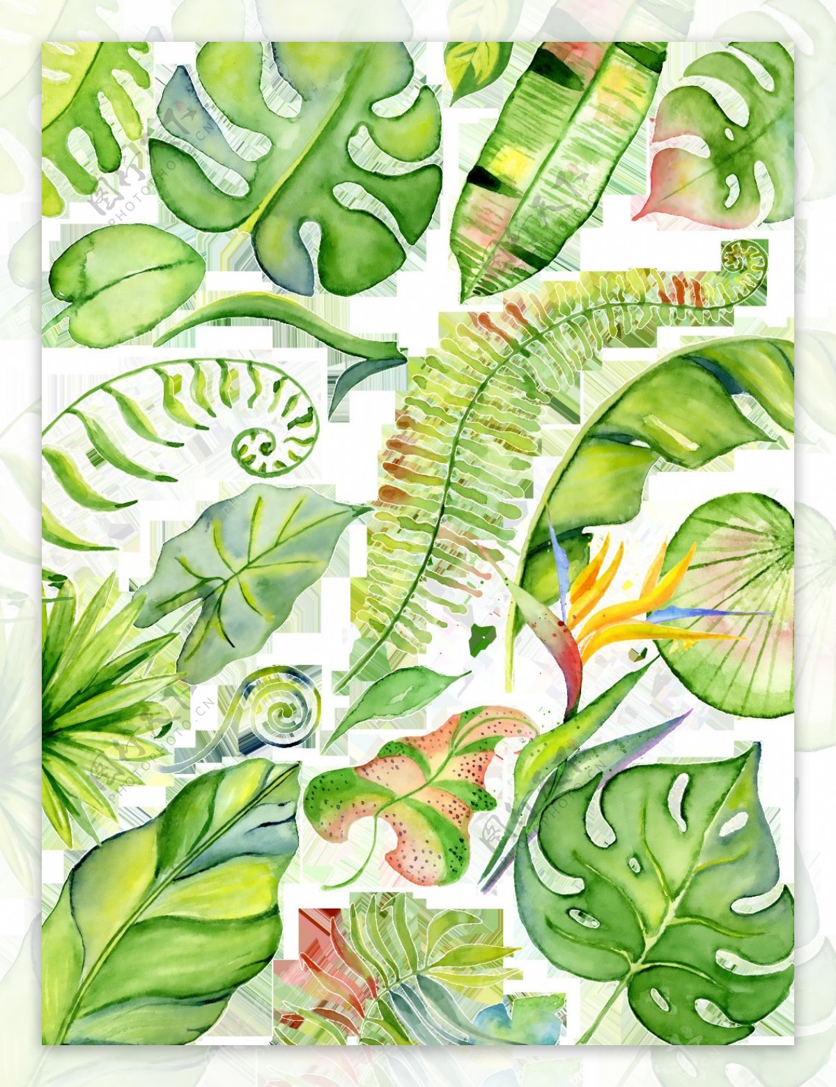 手绘各个品种的热带叶子背景素材