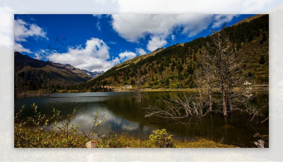 达古冰山风景山水美景美景