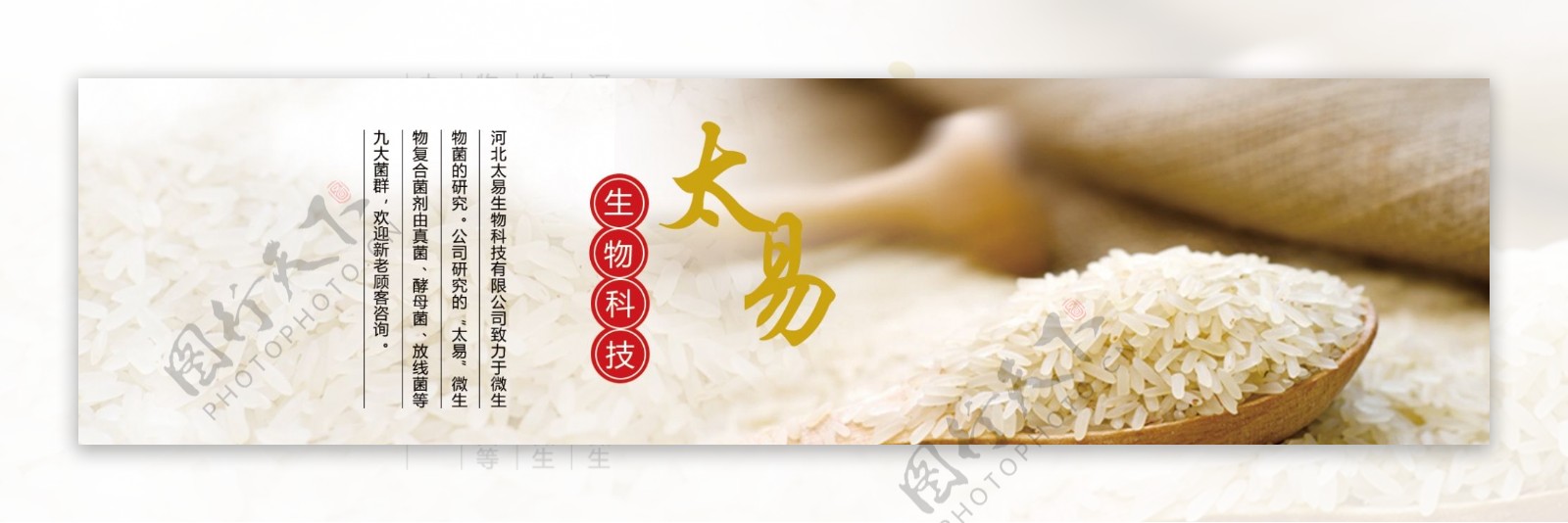 生物菌肥粮食大米网页banner