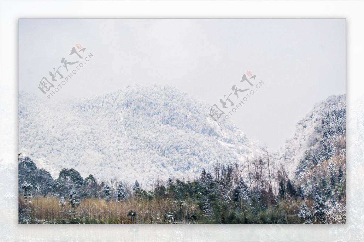 雪景