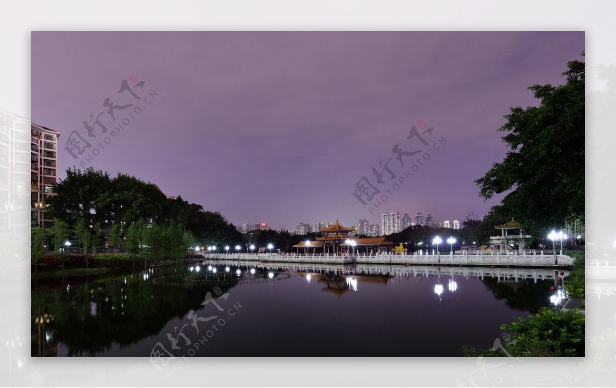 深圳荔枝公园夜景