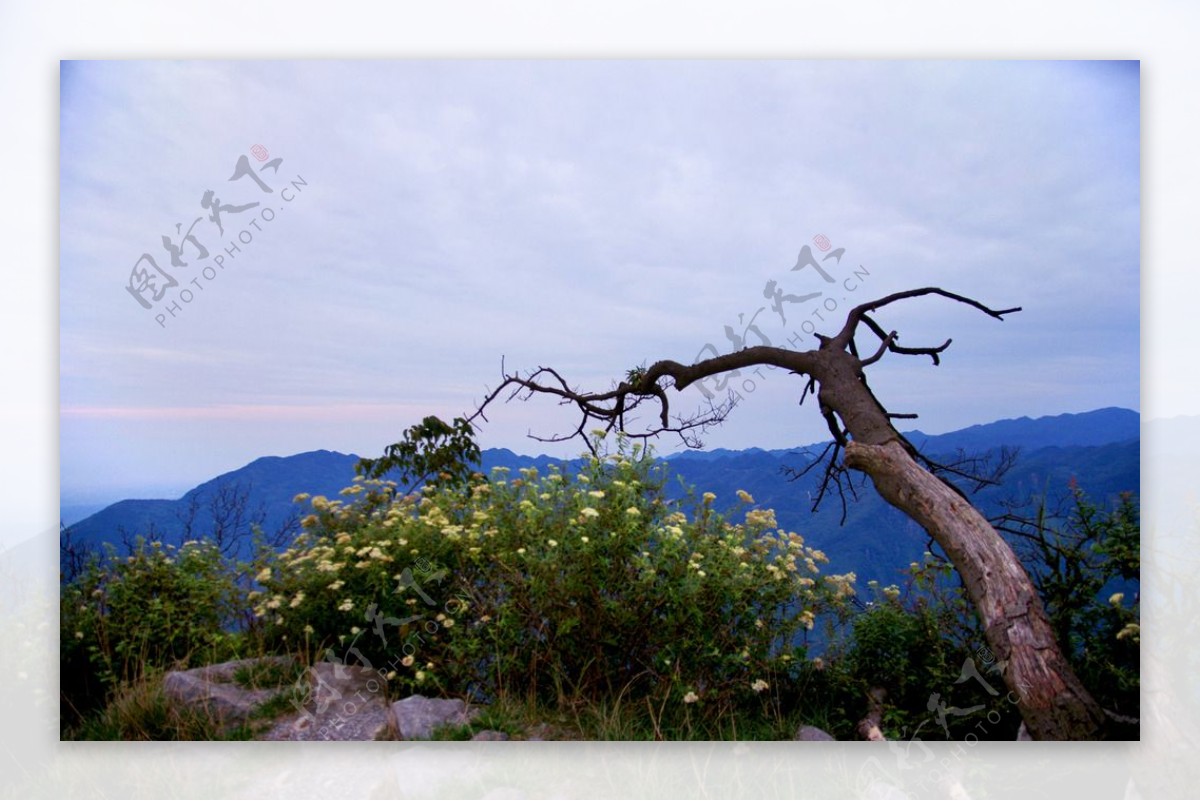 九皇山景点