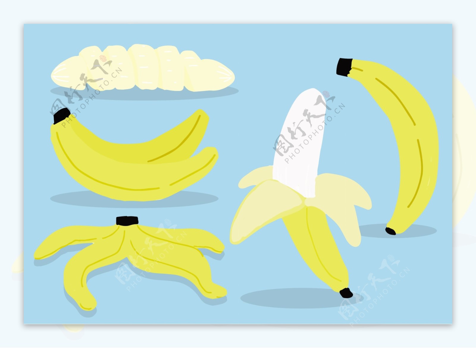矢量香蕉水果素材
