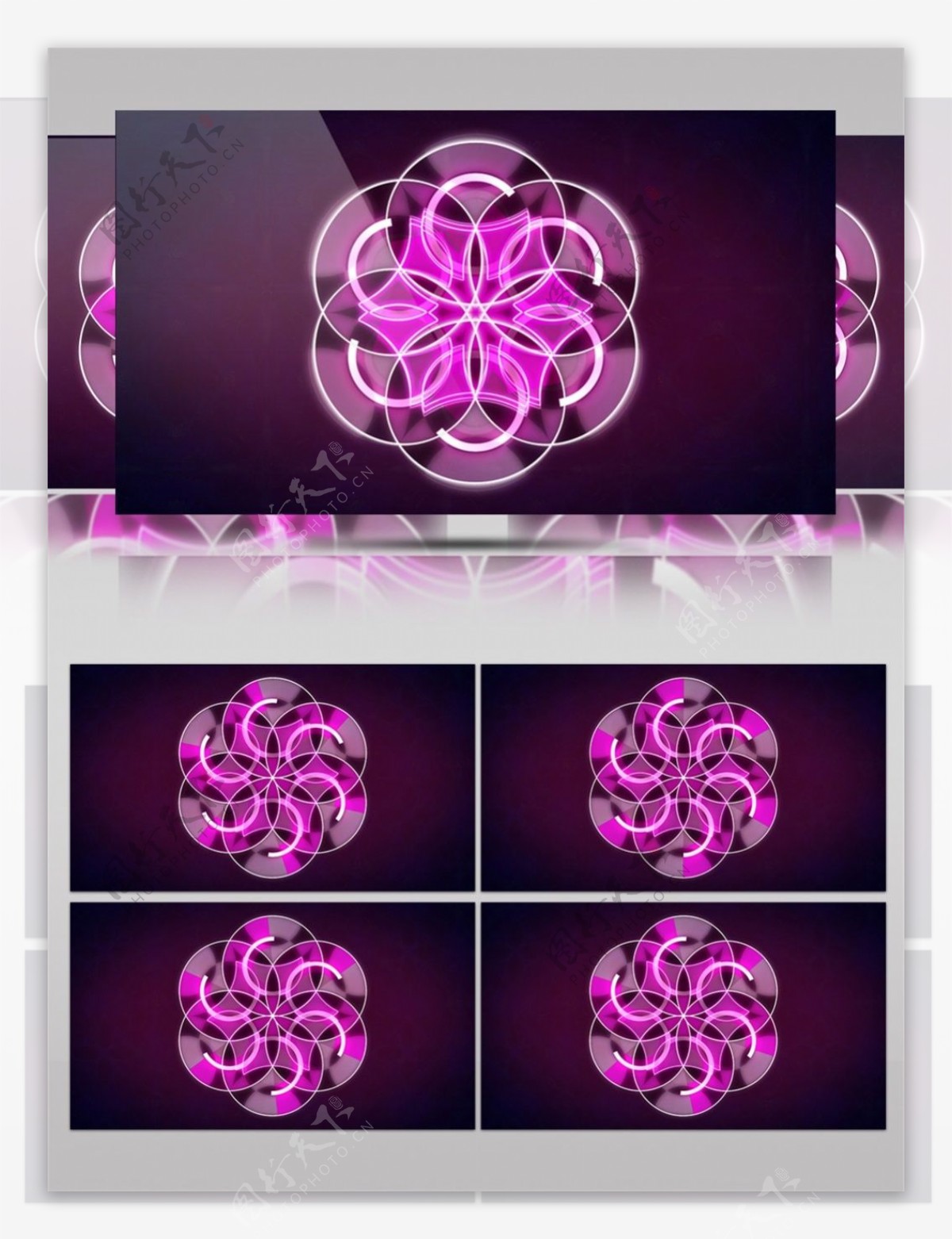 紫色光束花蕊视频素材