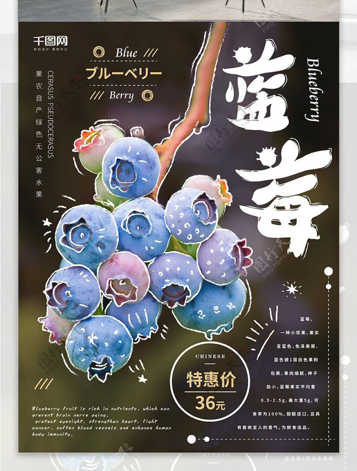 简约手绘风蓝莓水果美食海报