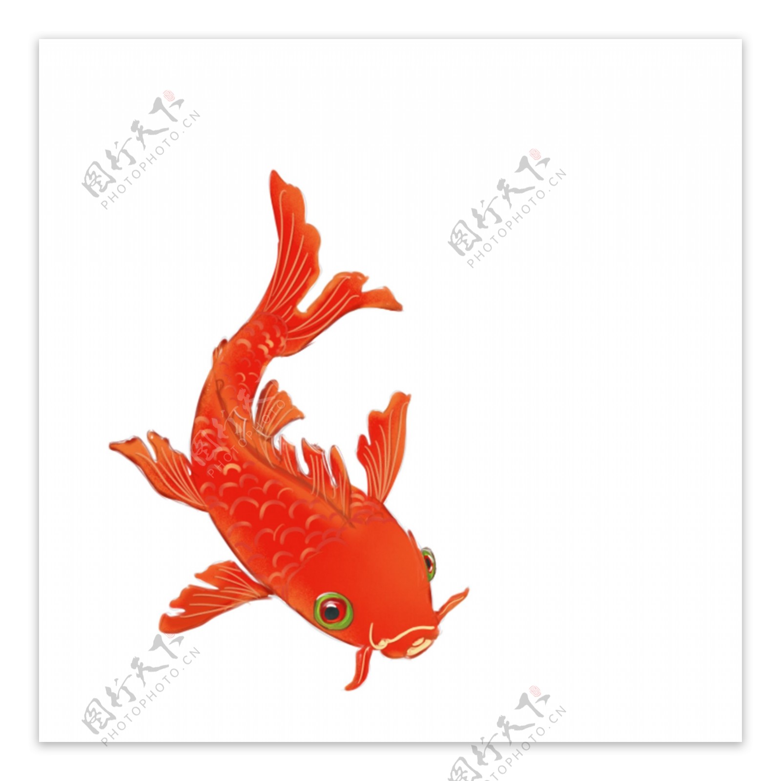 可商用红色喜庆中国风手绘可爱锦鲤装饰图案