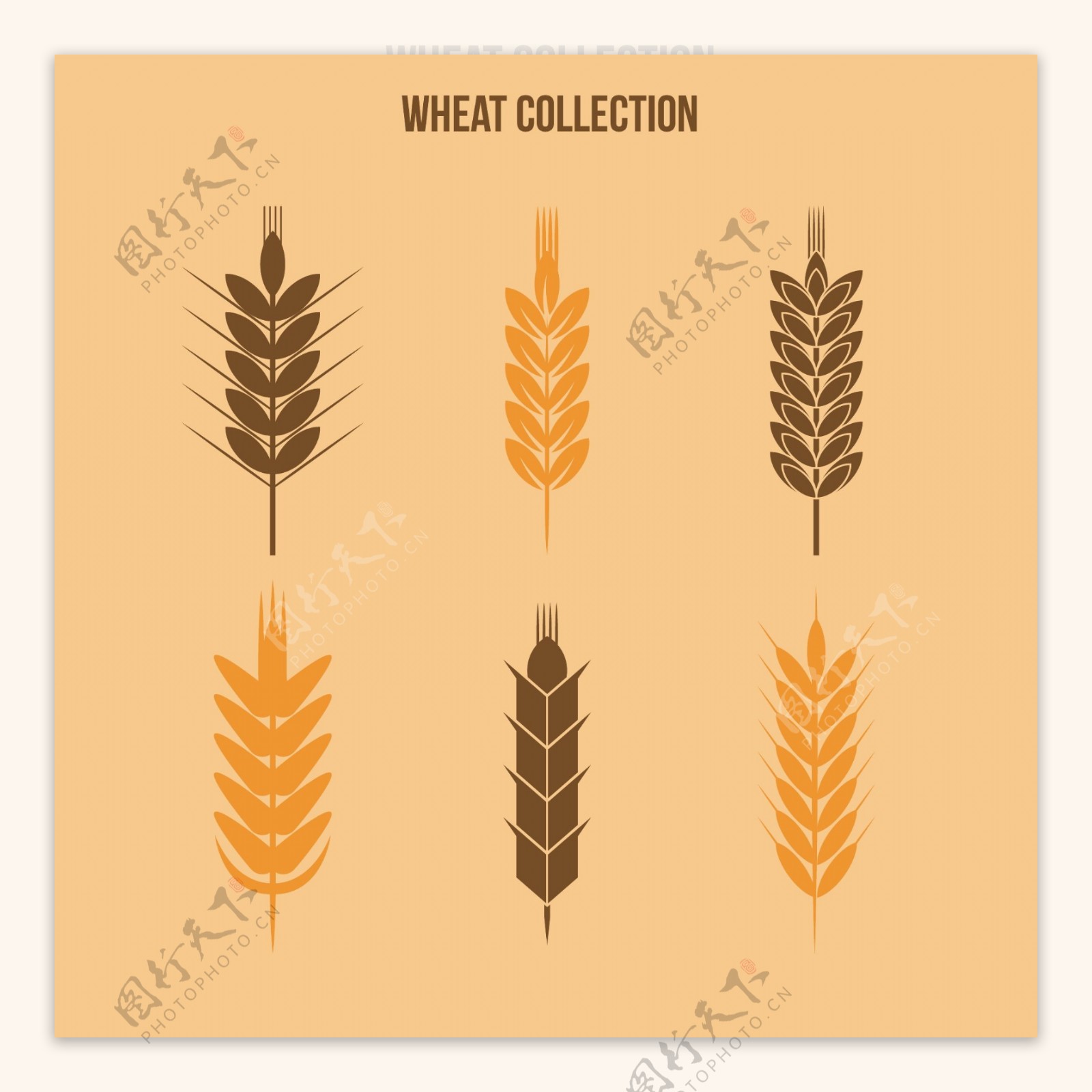 6款小麦合集图案设计