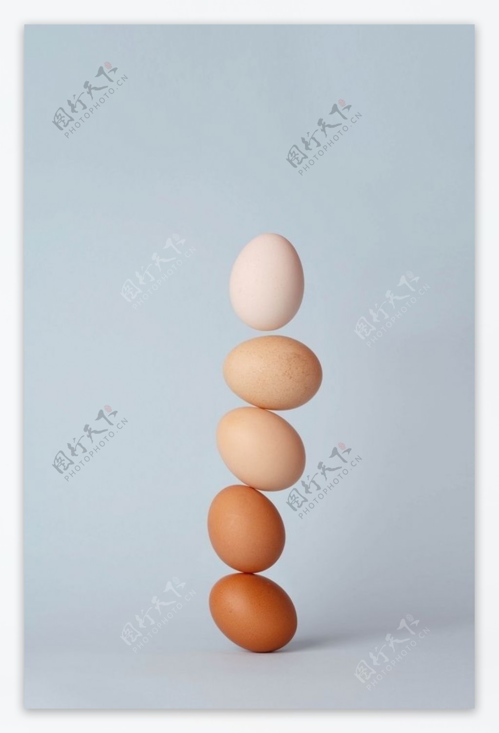 竖立鸡蛋创意摄影