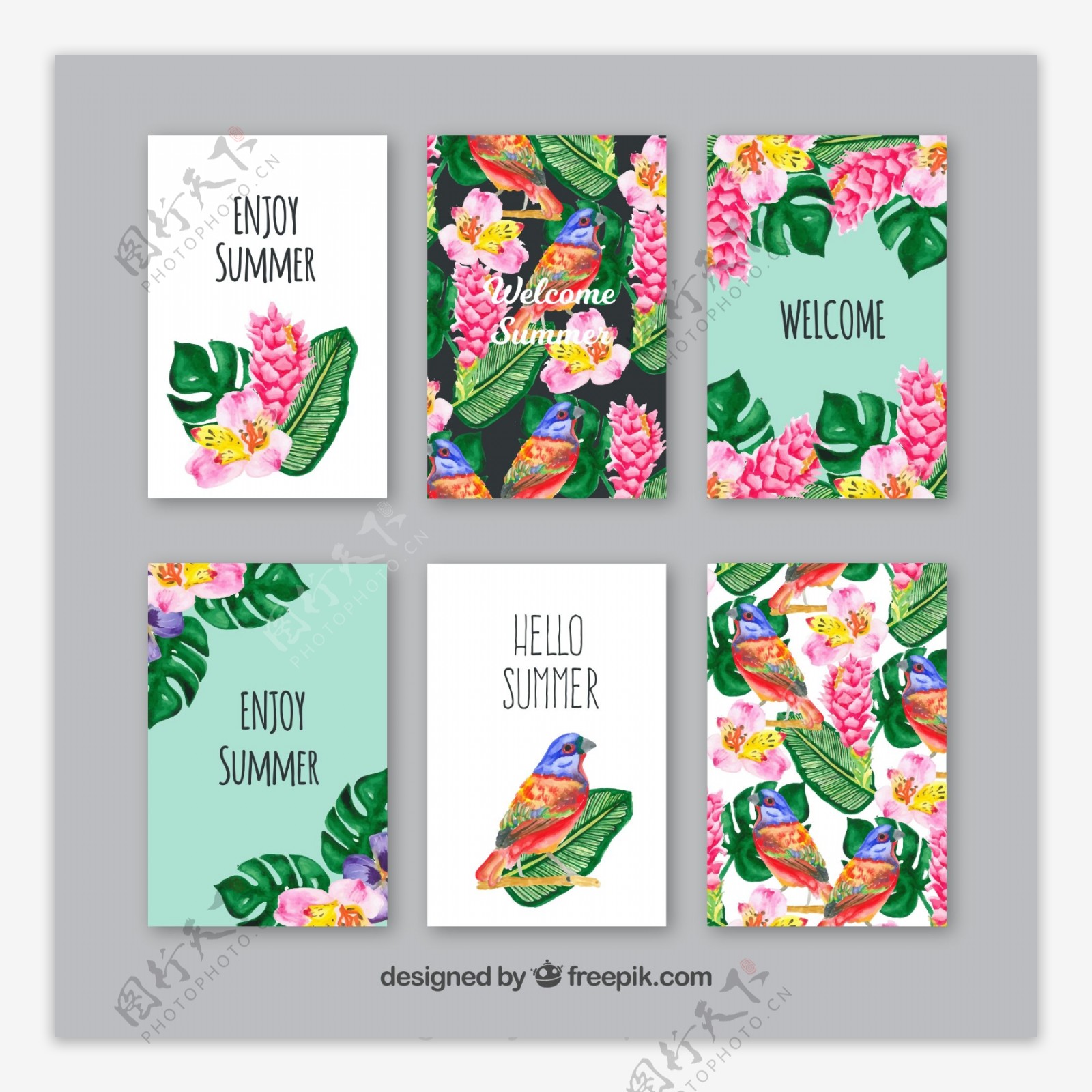 6款彩绘夏季热带花草卡片矢量素材