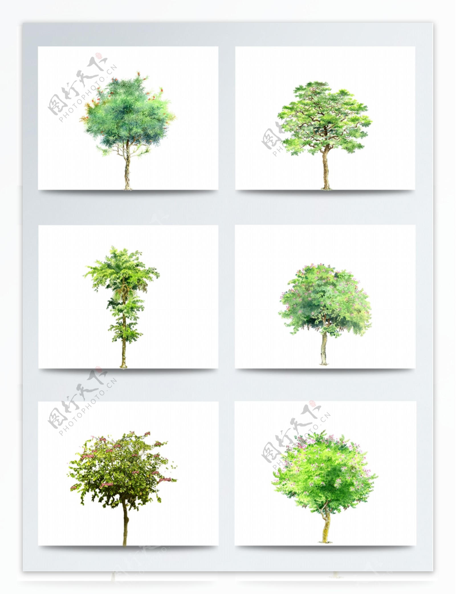 绿树手绘元素创意设计