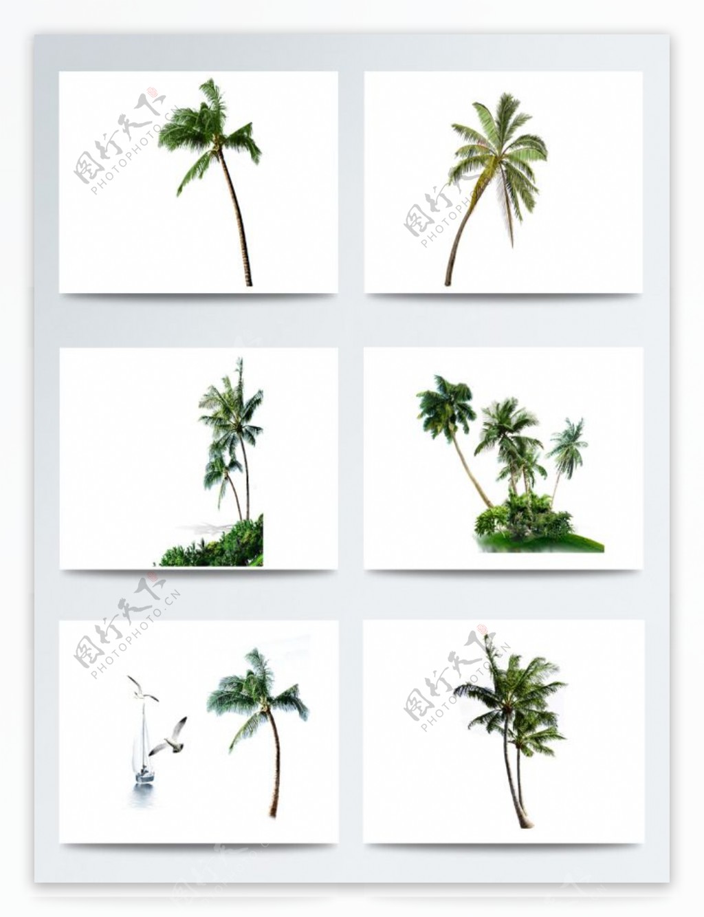 夏季沙滩旅行椰树