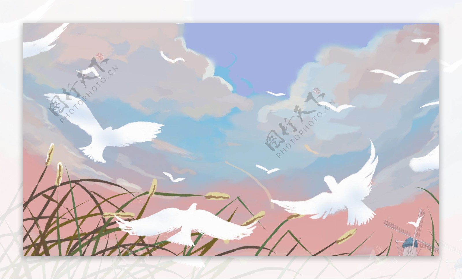 草地上空的白色飞鸟卡通背景