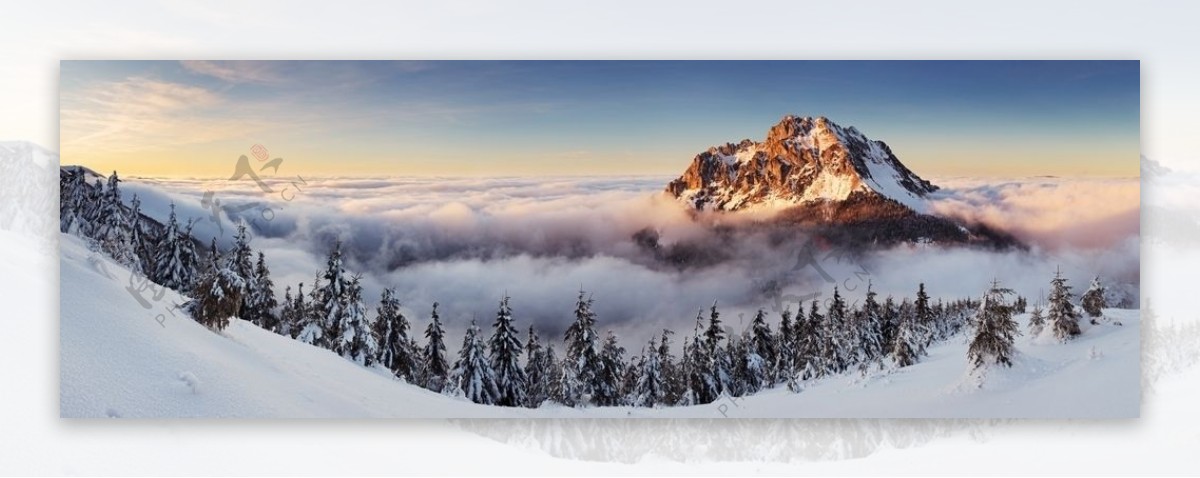 高山山峰雪山森林树林