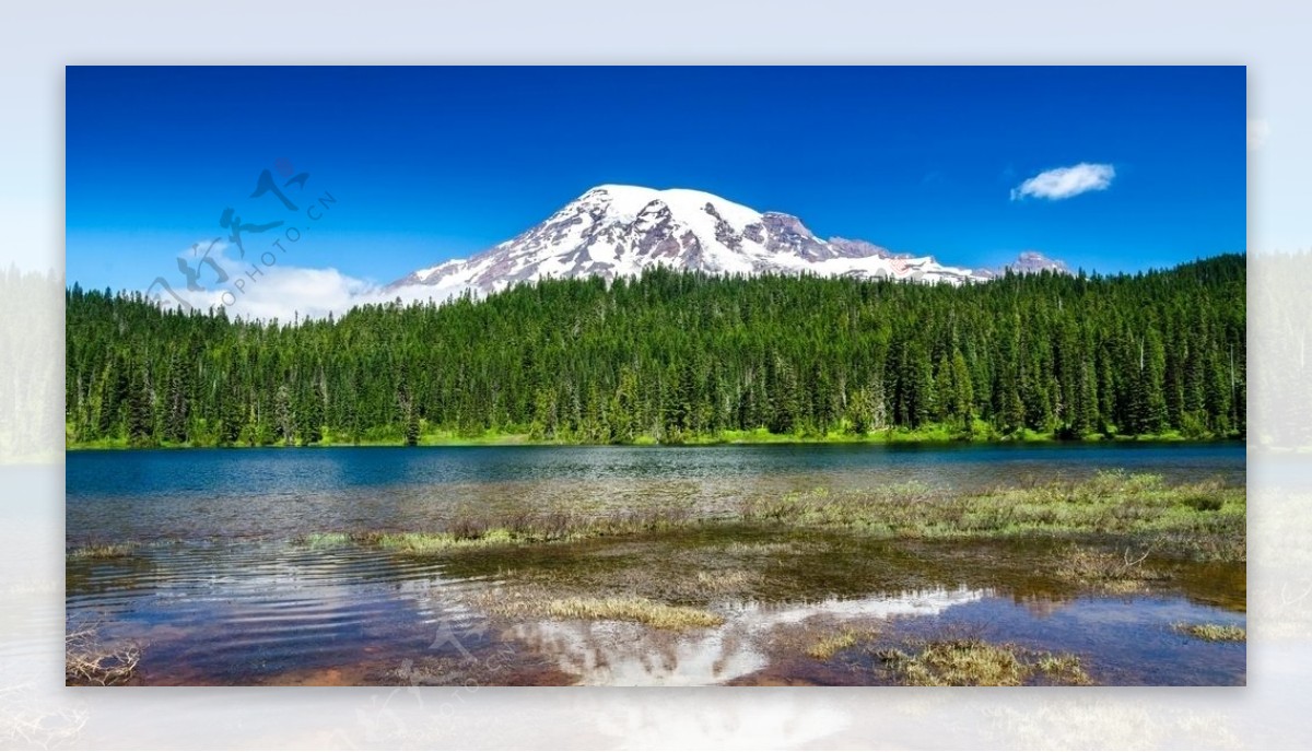 高山山峰雪山森林树林