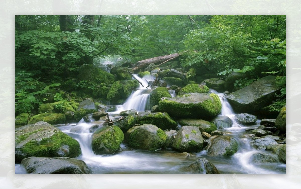 绿色风景图片自然风光