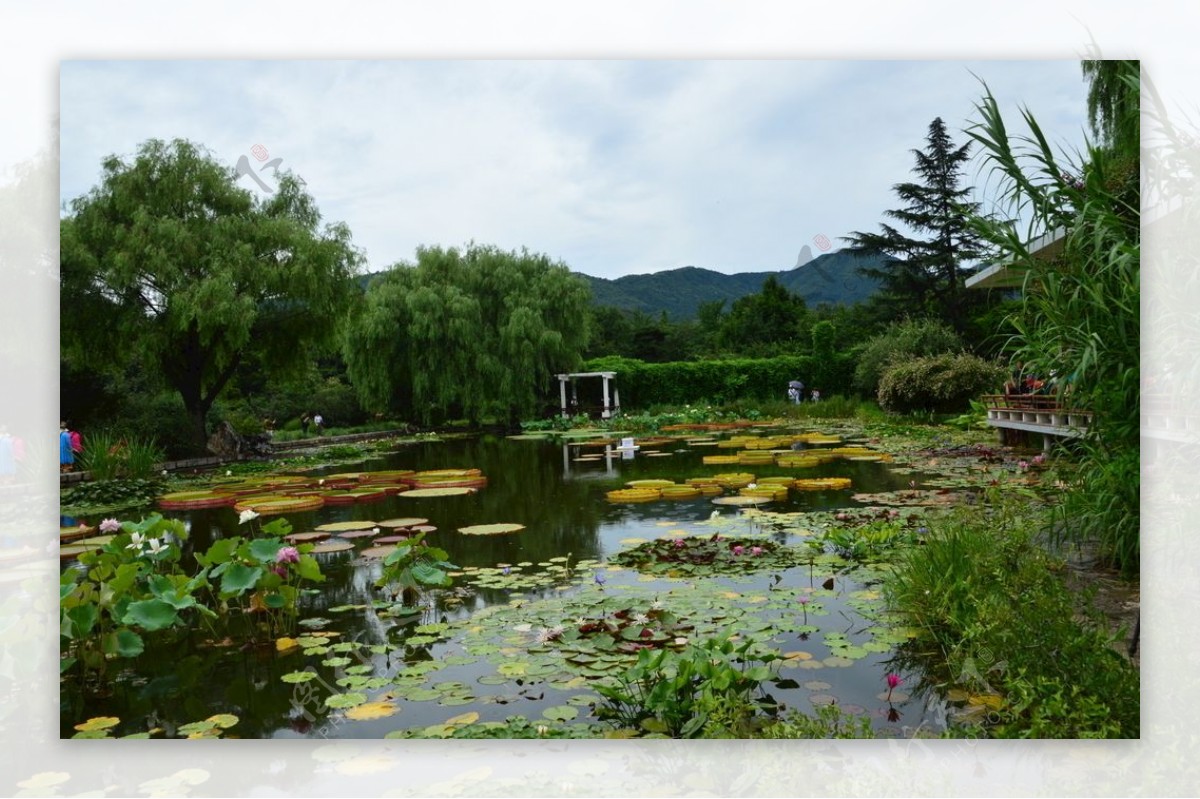 南植物园风景