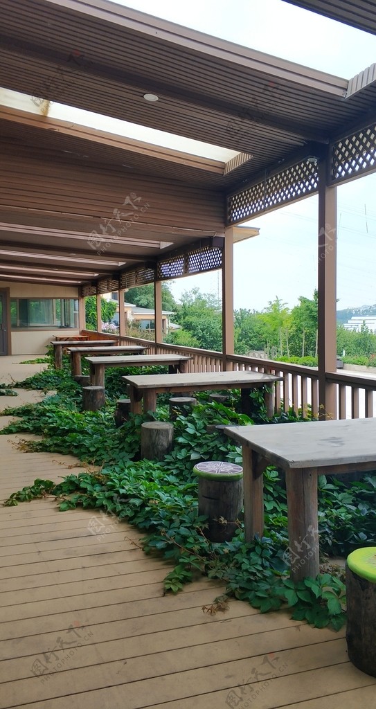外景绿色植物景色桌子
