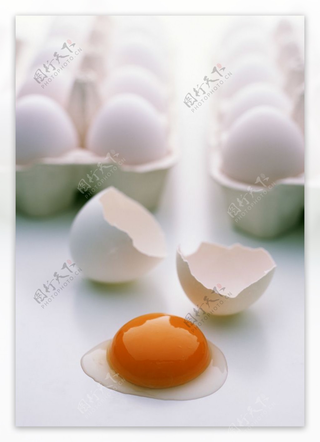新鲜蛋类