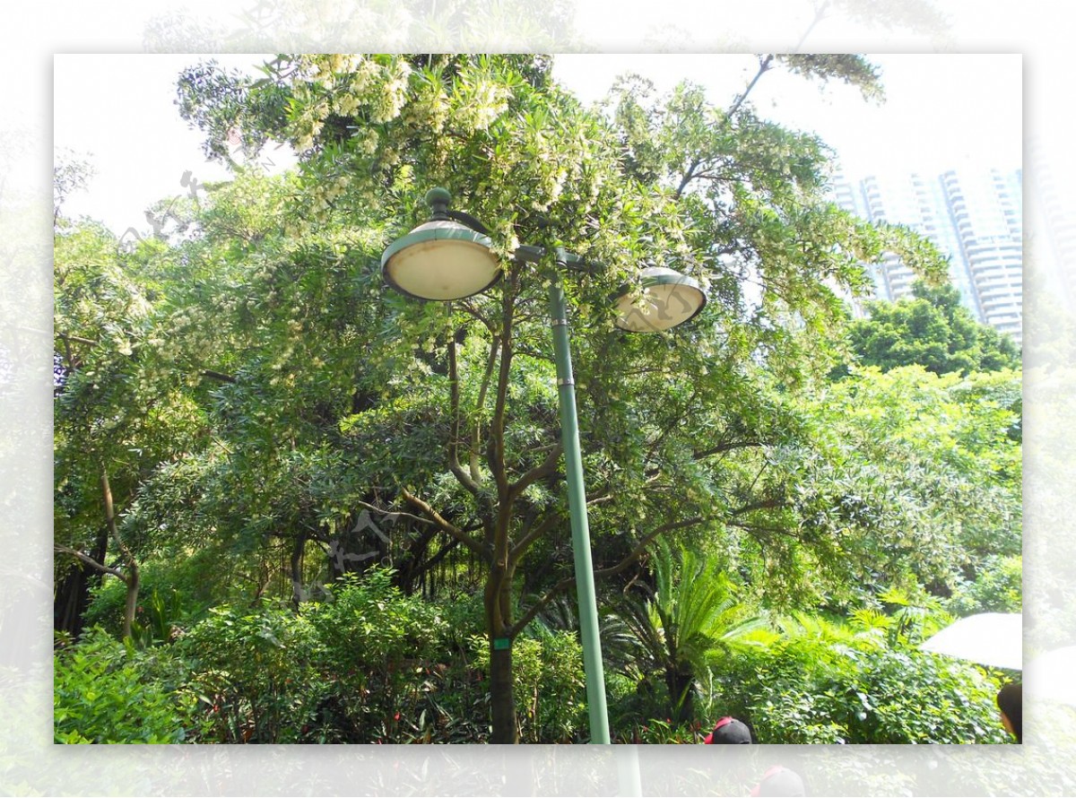 园林灯柱