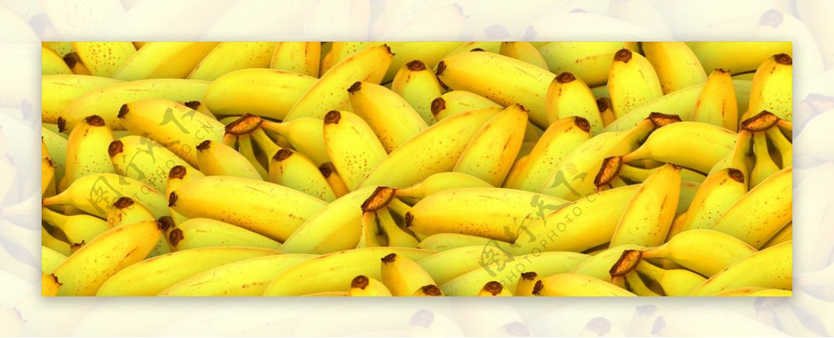 香蕉水果生香蕉水果果实
