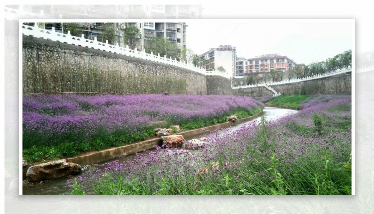 河道风景线