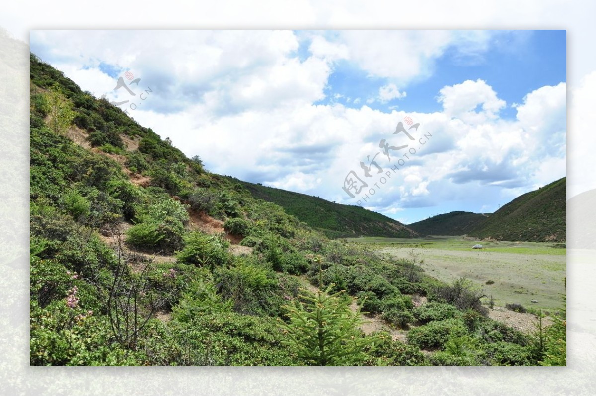 香格里拉草甸风光