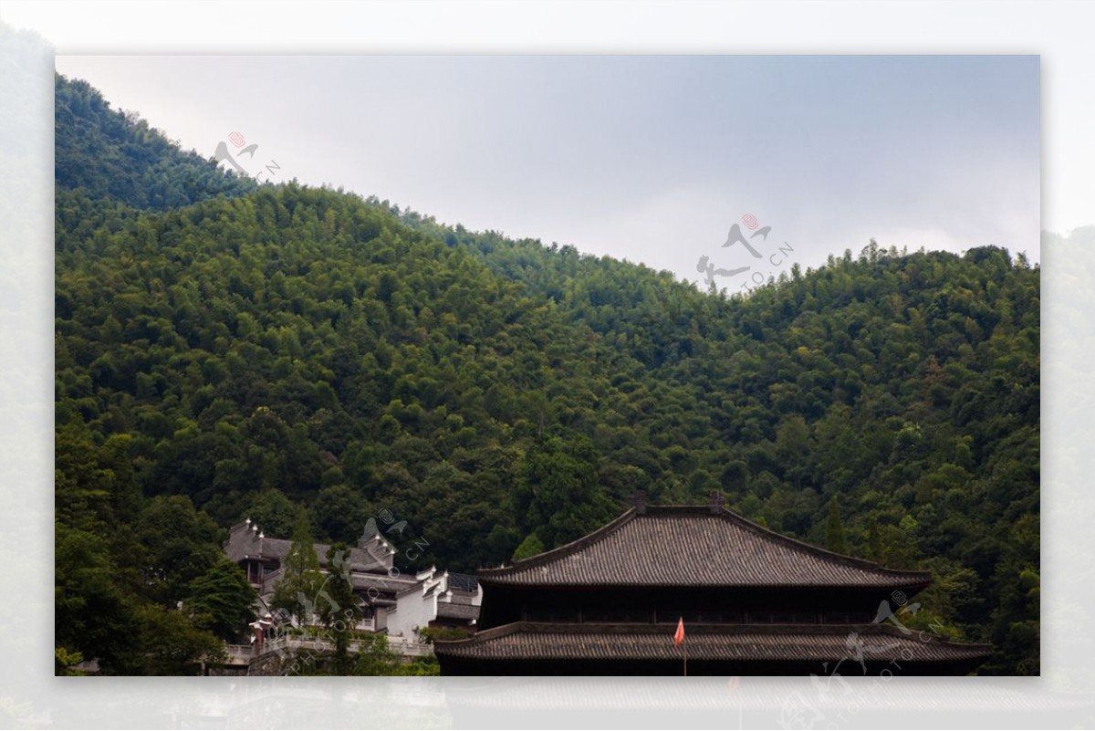 杨岐普通寺