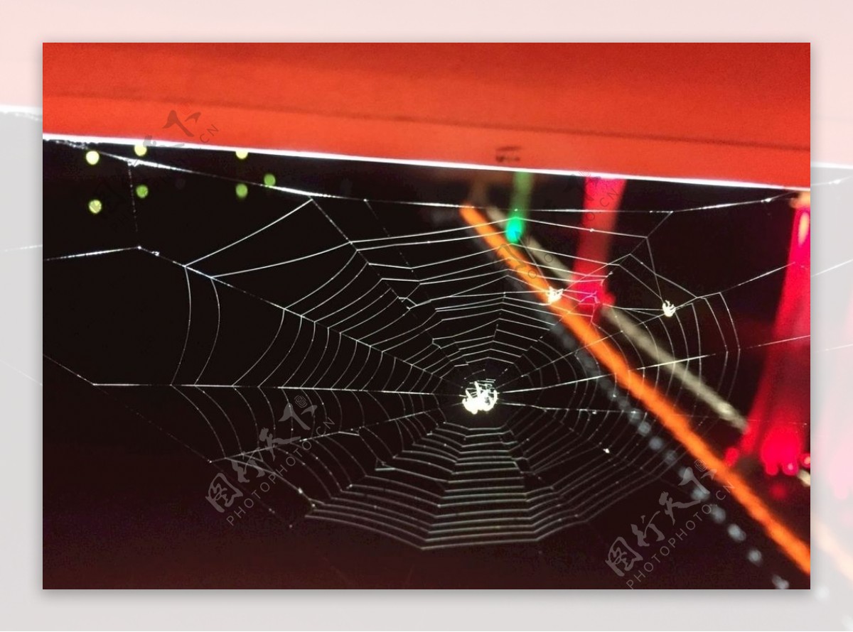 蜘蛛织网