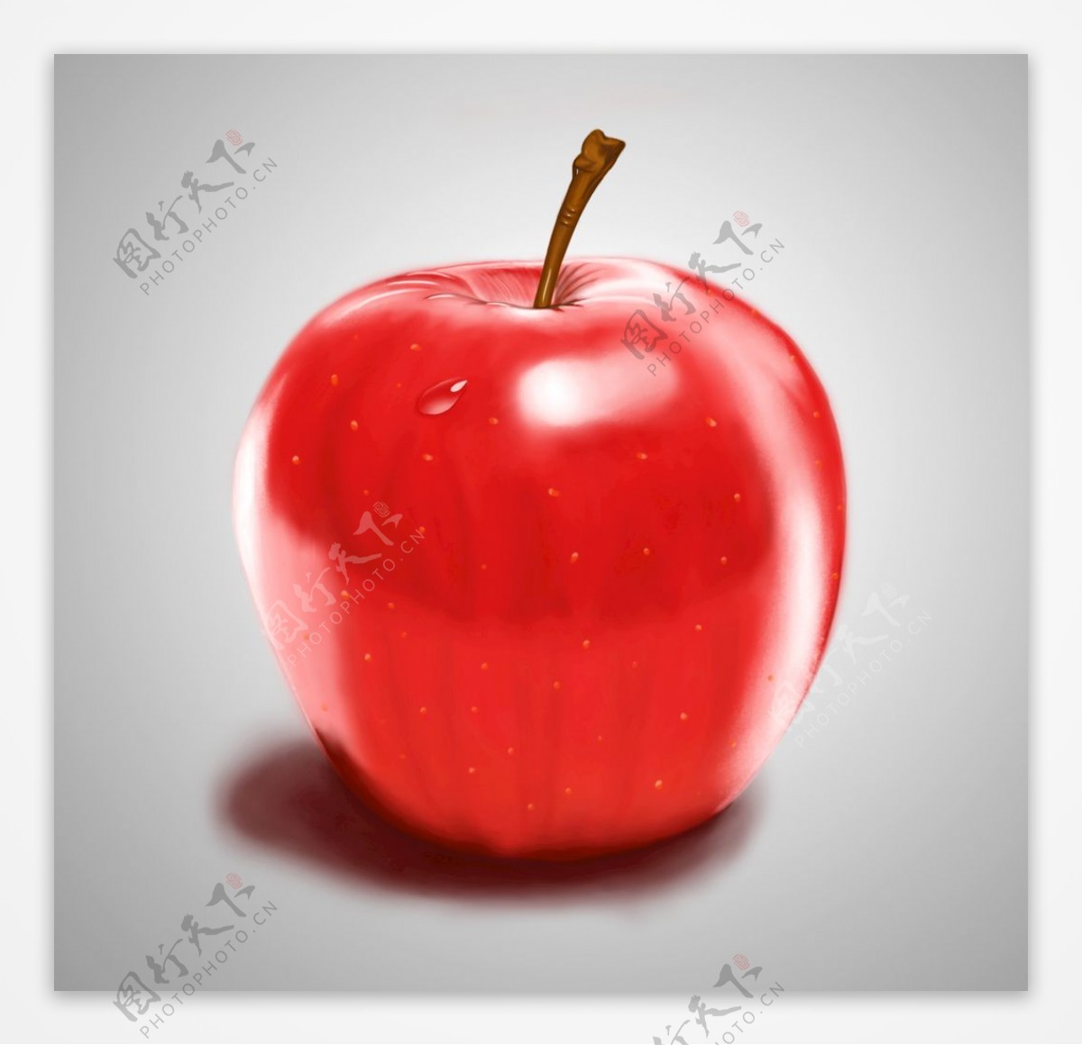 食物插画苹果