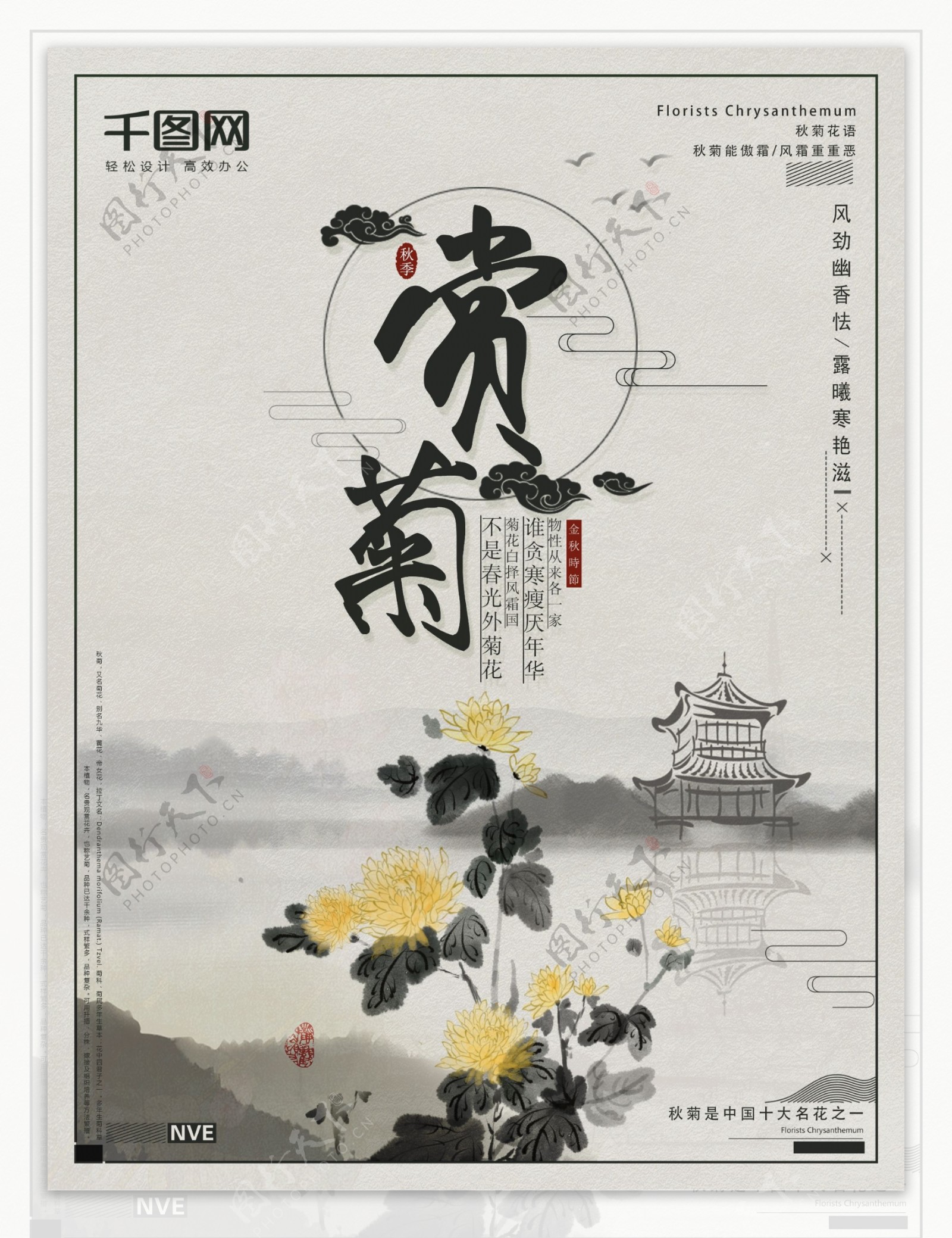 秋菊花语金秋赏菊中国风海报设计