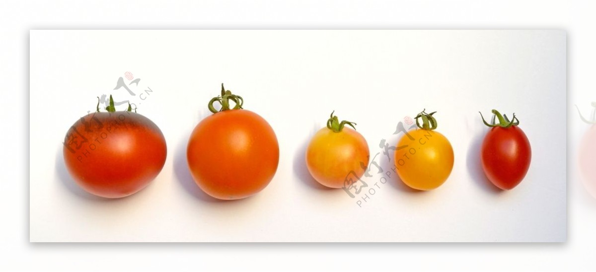各种蔬菜西红柿