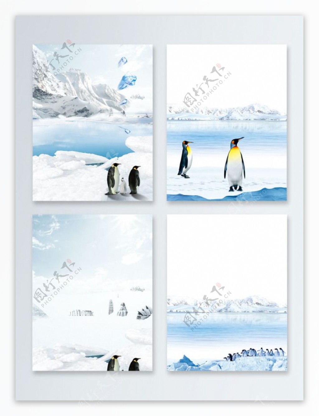 冬季北极冰天雪地企鹅广告背景
