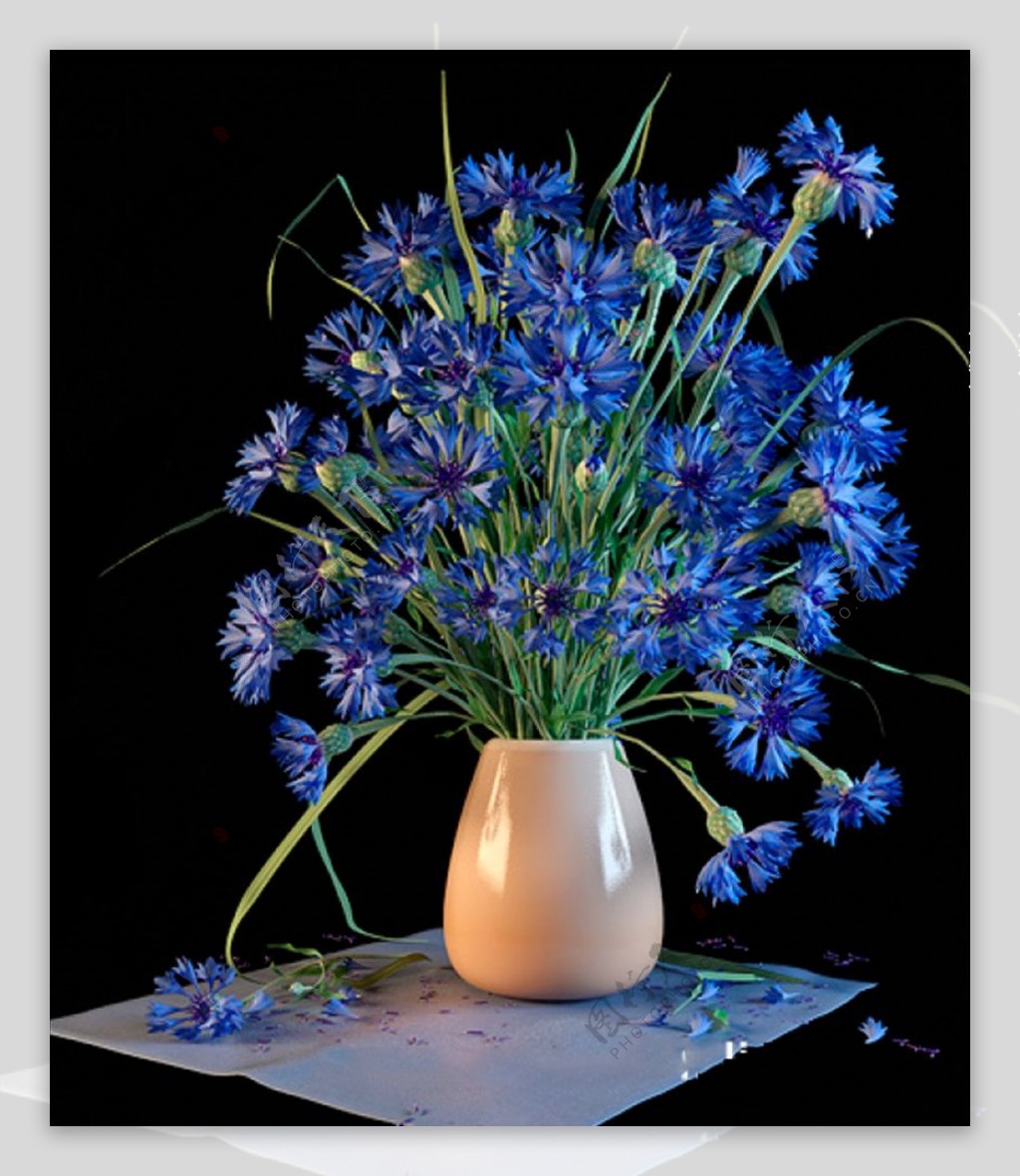 花卉3D模型