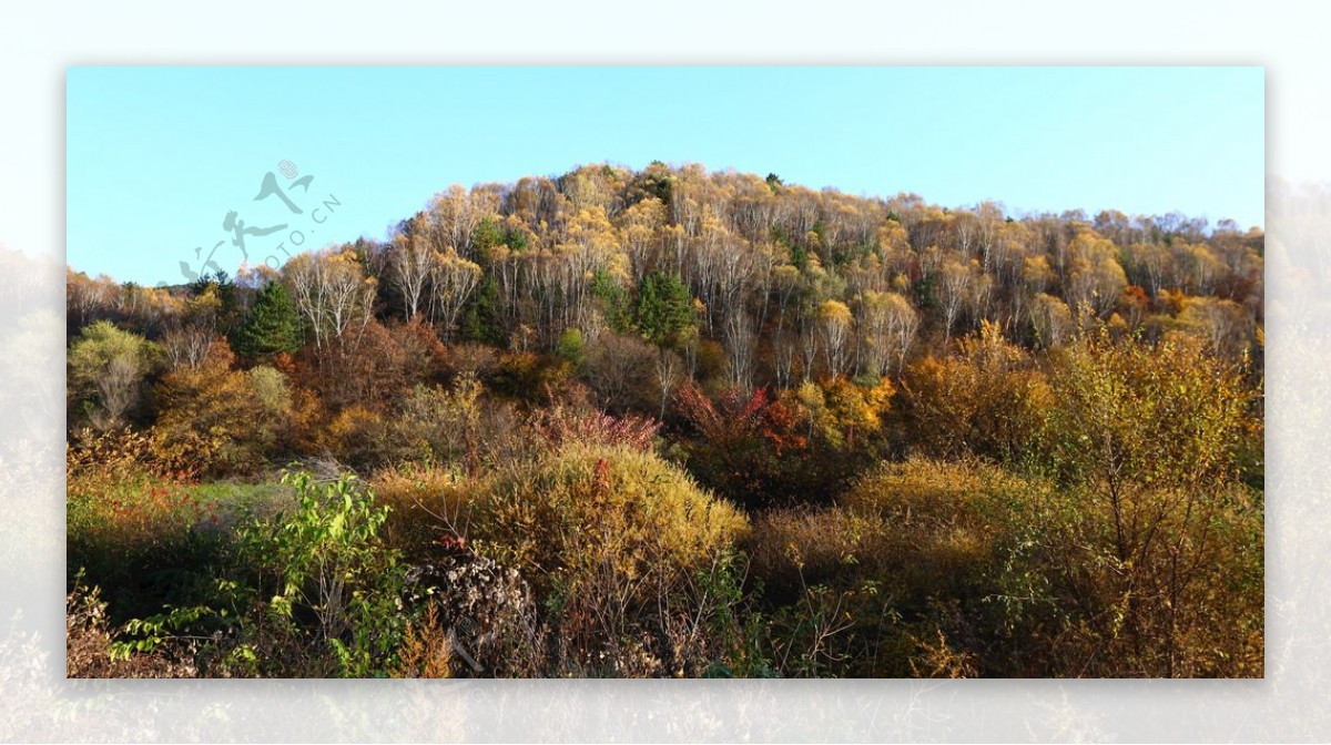 大山风景