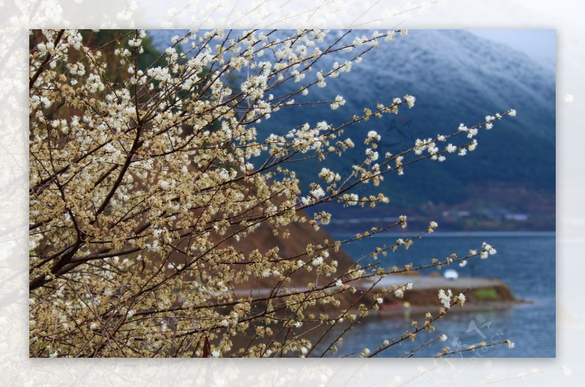 4月泸沽湖风景