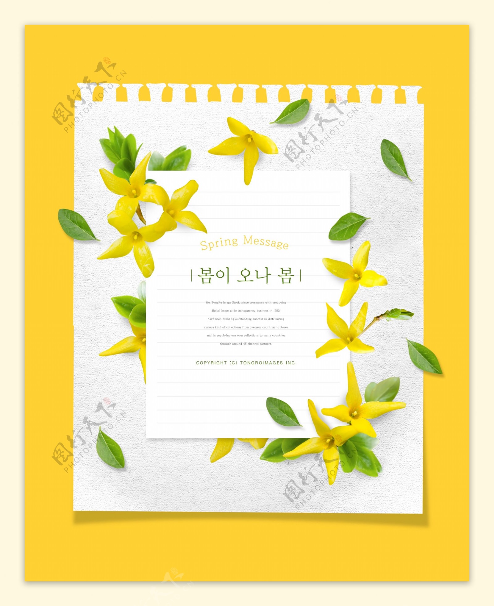 韩式黄色春季春天花朵海报psd模板