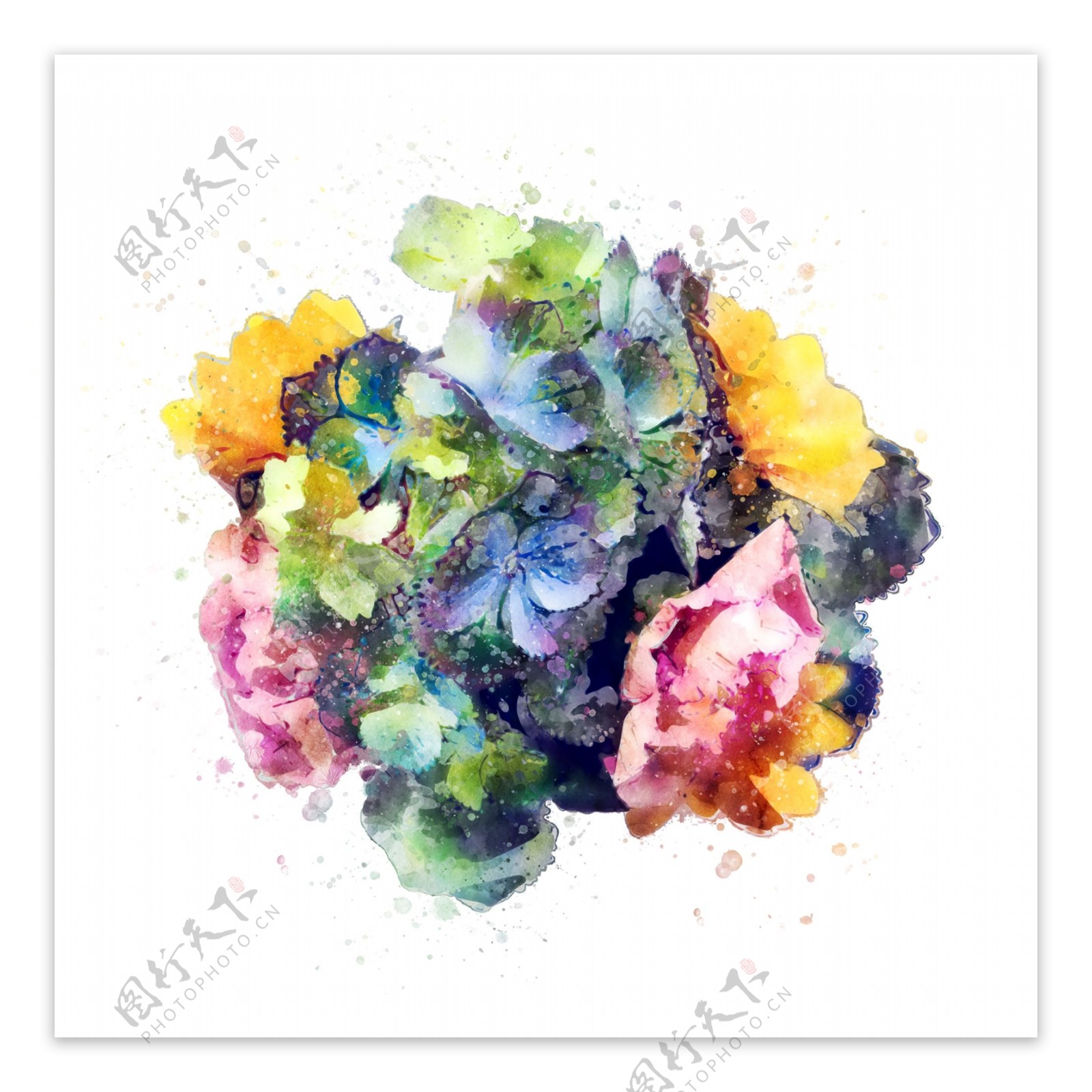 手绘一团绣球花彩色植物花卉水彩元素