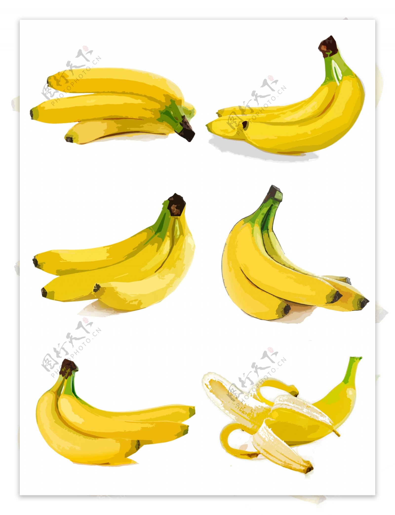 香蕉水果各角度手绘合集