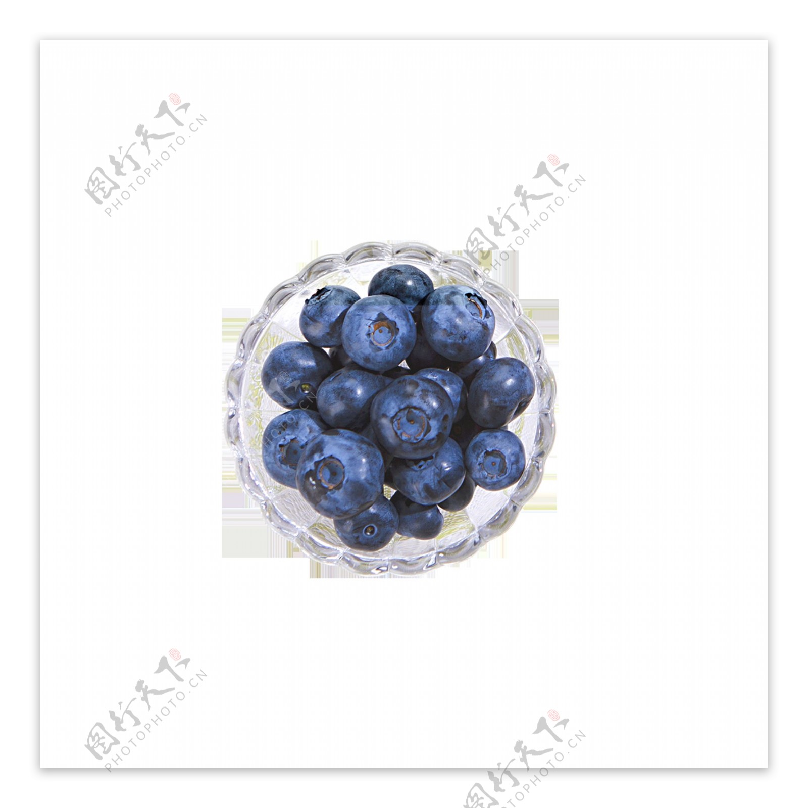 夏天蓝莓水果装饰素材