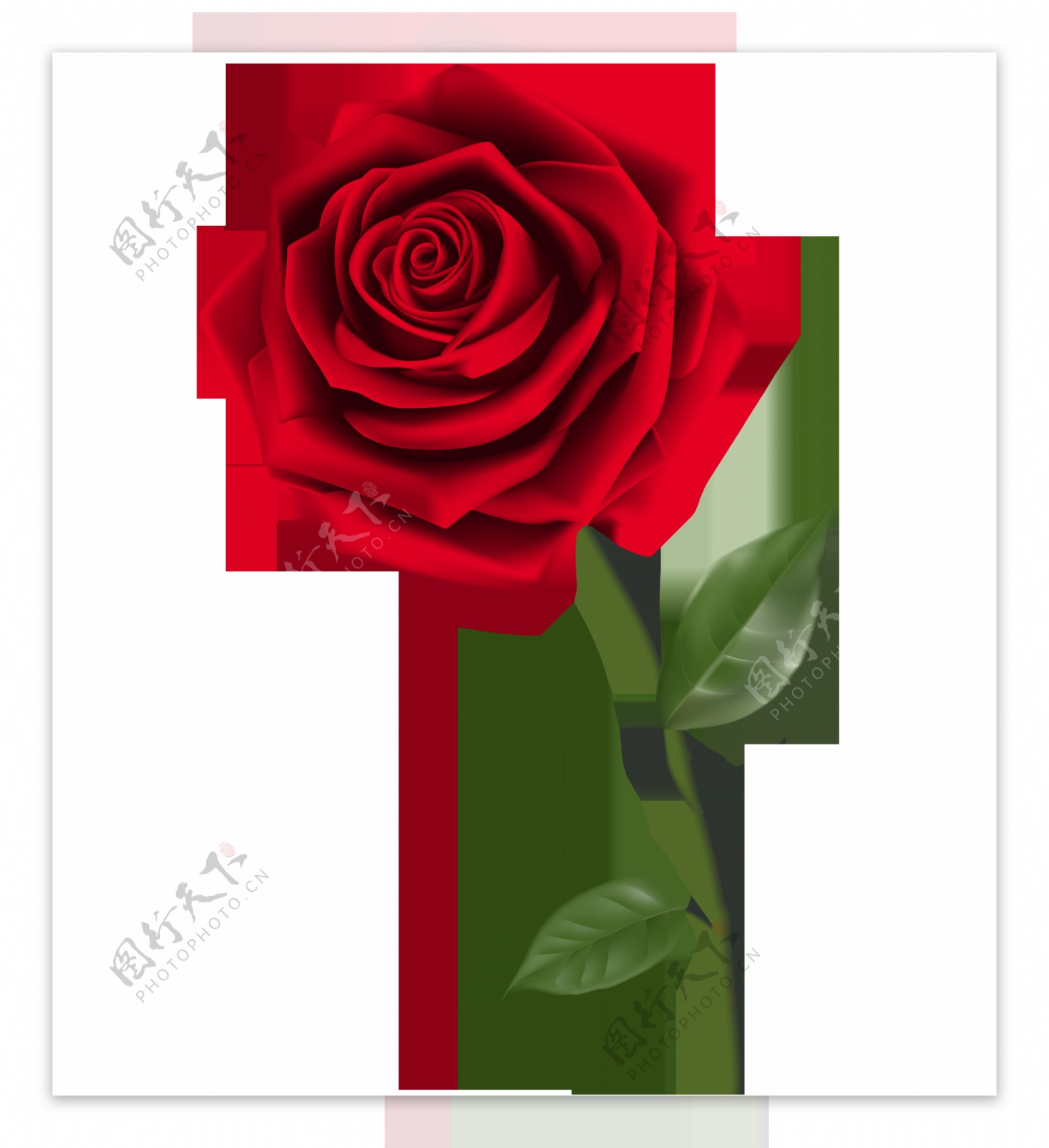 浪漫单朵告白玫瑰装饰元素