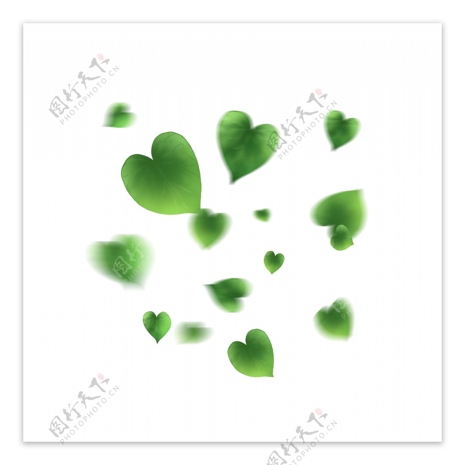 漂浮的树叶漂浮的绿色爱心形树叶
