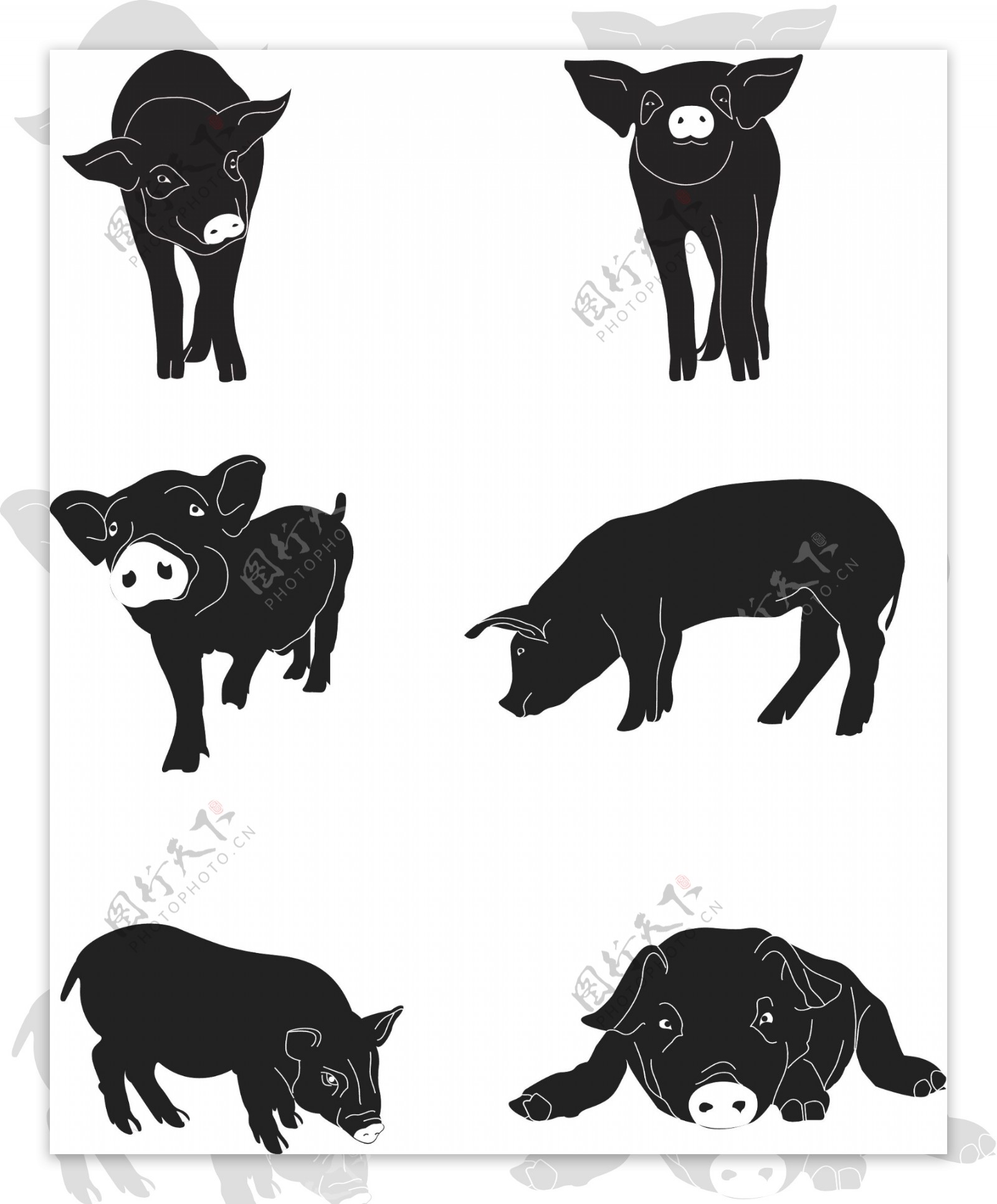 2019年猪年动物猪年猪形象简约手绘简笔画