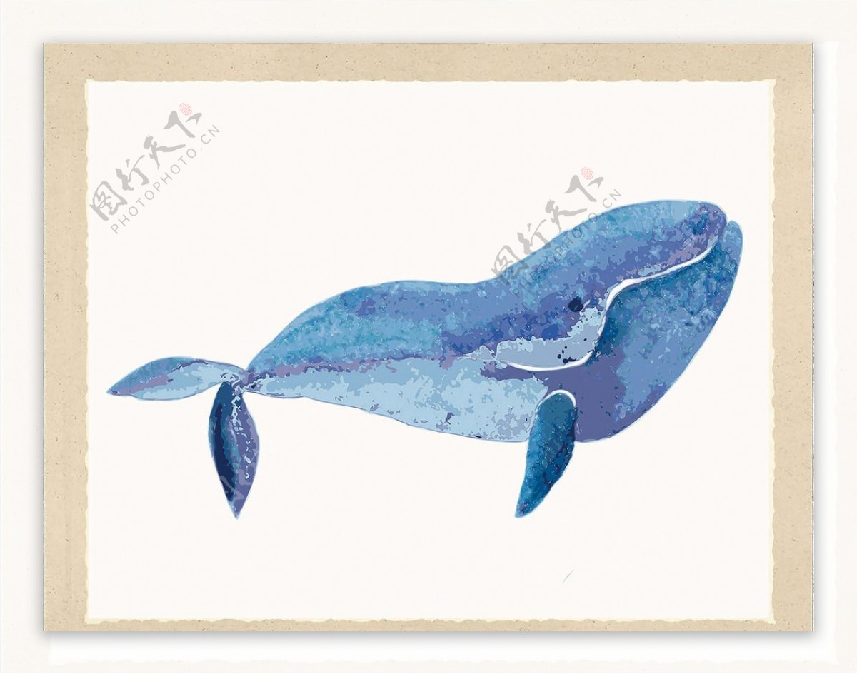鲸2