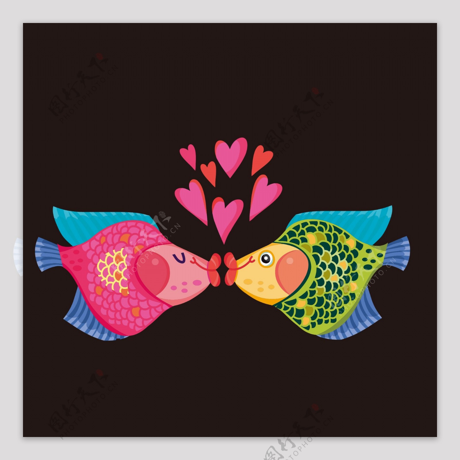情侣鱼海鱼